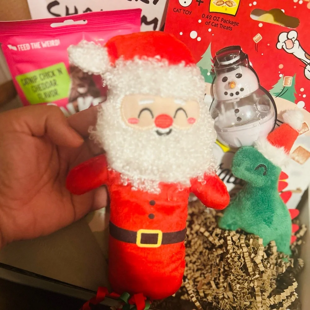 Festive Red Santa Cat Toy